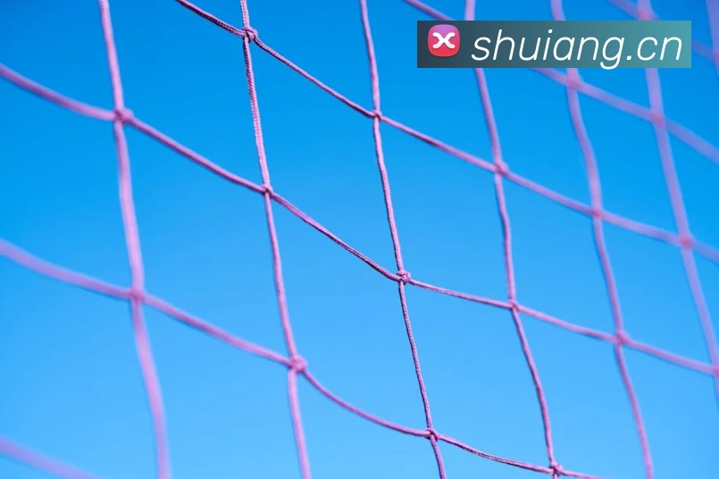 爱游戏ayx登录官网发展历程